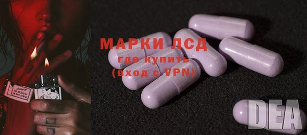стаф Заречный