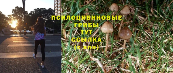 прущий лед Алексеевка